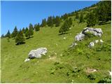 Planina Jezerca - Planina Dolga njiva (Krvavec)